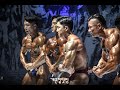 2019 NABBA WFF GRAND PRIX FINAL Mr.Superbody. Extreme [2019 나바 WFF 그랑프리 남자 슈퍼바디 익스트림]