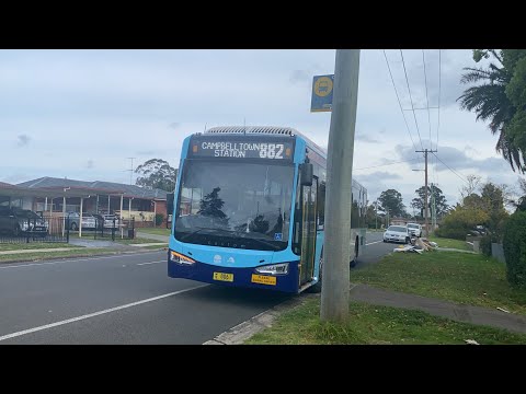 BUSABOUT - m/o 8061 - Custom Coaches Endeavour