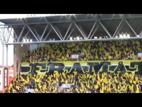 IF Elfsborg - Celtic FC 2013 *Tifo och inmarsch*