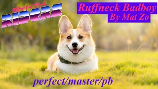 Ruffneck Bad Boy - Mat Zo Perfect/Master/PB (Synth Riders VR Gameplay)