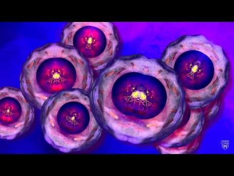 What is Epigenetics?