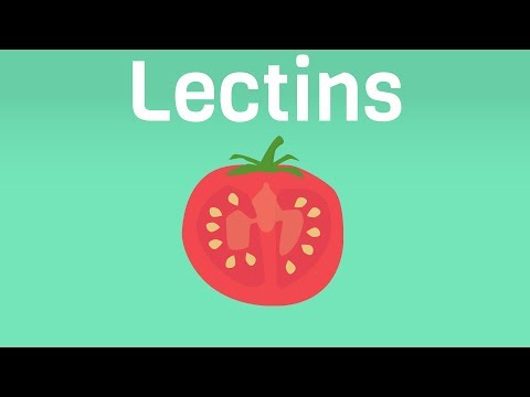 Turn Off Autoimmunity By Avoiding Lectins - The Plant Paradox by Steven Gundry