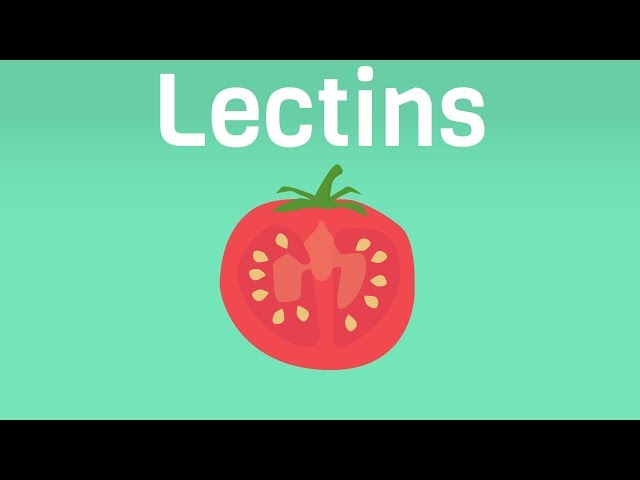 Wheat Germ の発音の仕方 Howtopronounce Com