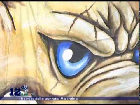 “Settima puntata” di “Dodicesimo in Campo 2014/2015” - La trasmissione lungimirante!