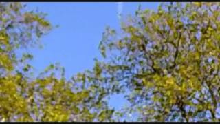 Chemtrails Over Big Ben London.