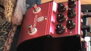 Analogman ARDX20 Dual Analog Delay guitar effects pedal demo w SG & Dr Z Amp