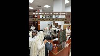 Parashat Houkat - MESSAGE DU RAV AVANT SHABBAT