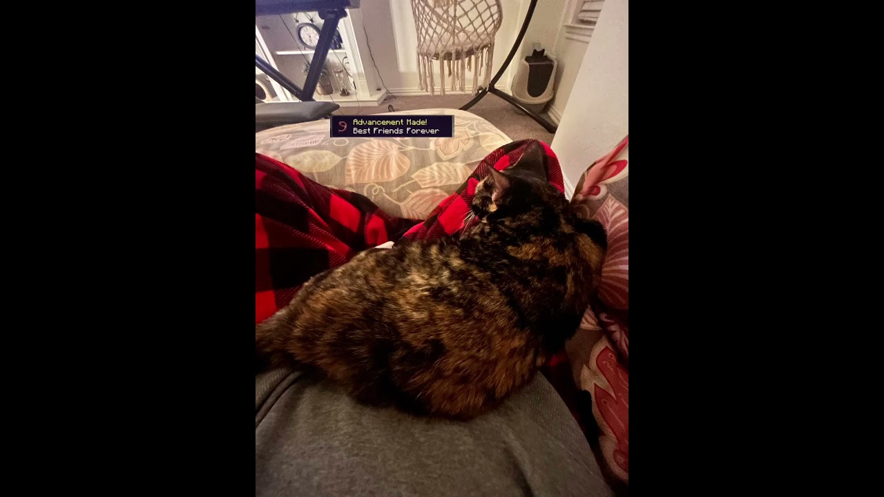 kittyyuhhh #gacha #cookierunkingdomfanart #digitalart #dandygames #furry #digitaldrawing #fursuit