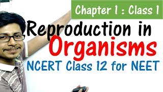 Reproduction in organisms class 12 NCERT | NEET biology preparation from NCERT class 12 biology book - Download this Video in MP3, M4A, WEBM, MP4, 3GP