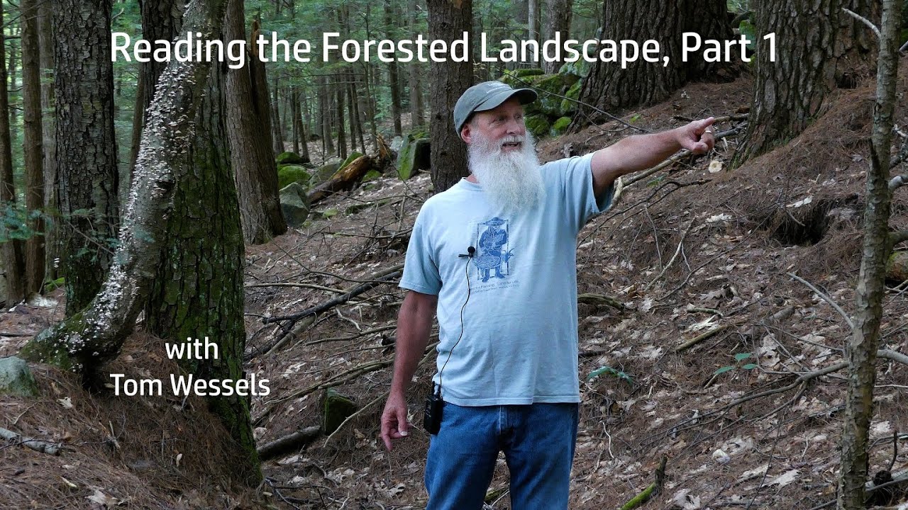 Tom Wessels: Reading the Forested Landscape, Part 1