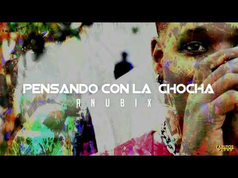 Anübix - "Pensando Con La Chocha" (Audio Oficial) @CarlitosPromo