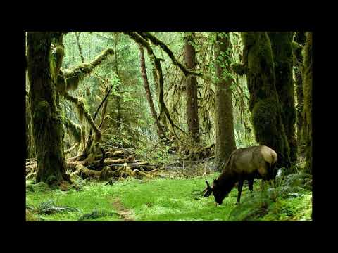 Viframa In The Mix (June 2004) for Trancespain.com