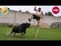 Try Not To Laugh Top 99 Funniest Videos Ever Funny Videos Compilation 2026 208