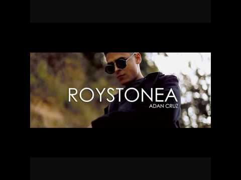 Roystonea-Adan cruz
