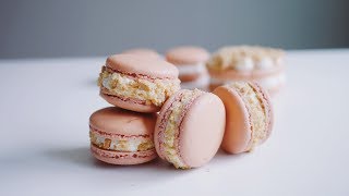 레어 치즈케이크 마카롱 만들기 Cheesecake Macaron | 베이킹 한세