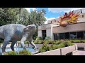 Dinosaur Ride At Disney S Animal Kingdom In 4K Walt Disney World September 2024