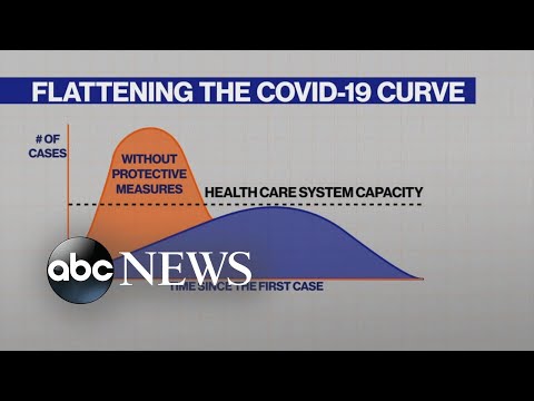 曲線を平らにする」とはどういう意味ですか？ (What does ‘flatten the curve’ mean?)