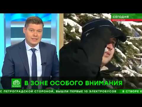 Мусорный полигон. п. Новый Свет. Репортаж НТВ 19.03.2019