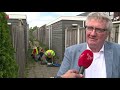 NVWA begint met bestrijding nieuwe exotische mug in Lelystad