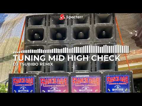 TUNING MID HIGH SOUNDCHECK ( DJ TSUBIBO PRESNO REMIX )