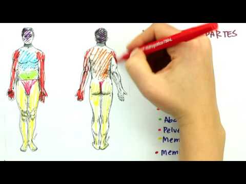 Posicão anatômica, divisões do corpo, planos e cortes | Ciências da Saúde | Me Salva!