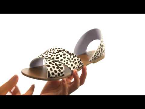 Warm Creature Kingsley  SKU:8914413