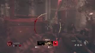 COD WW