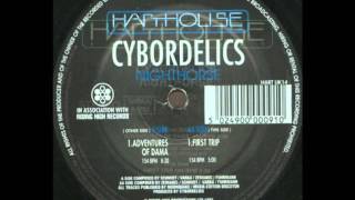 CYBORDELICS | Nighthorse - Adventures of Dama