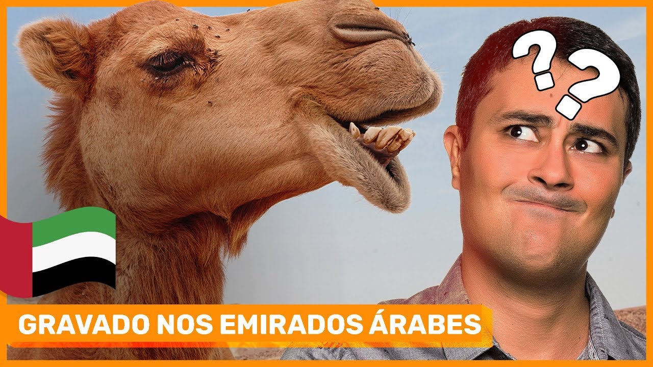 Adaptações de Plantas e Animais do Deserto | Biomas | Prof. Paulo Jubilut