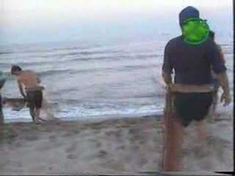 Kamchia Beach - Bulgaria