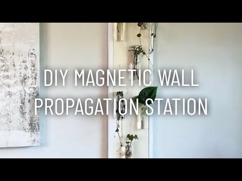 DIY Magnetic Wall Propagation Station