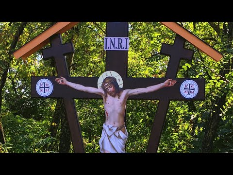 Radu Cimpoi - A venit un om la Domnul