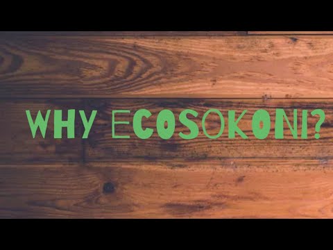 ecosokoni