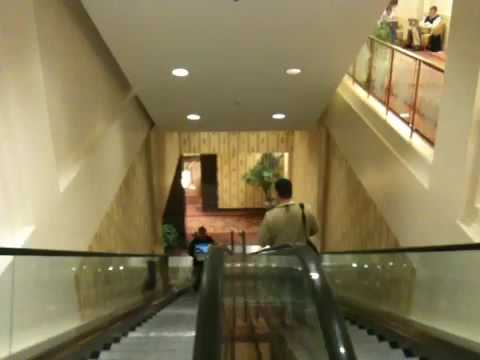 Escalator ustream dual