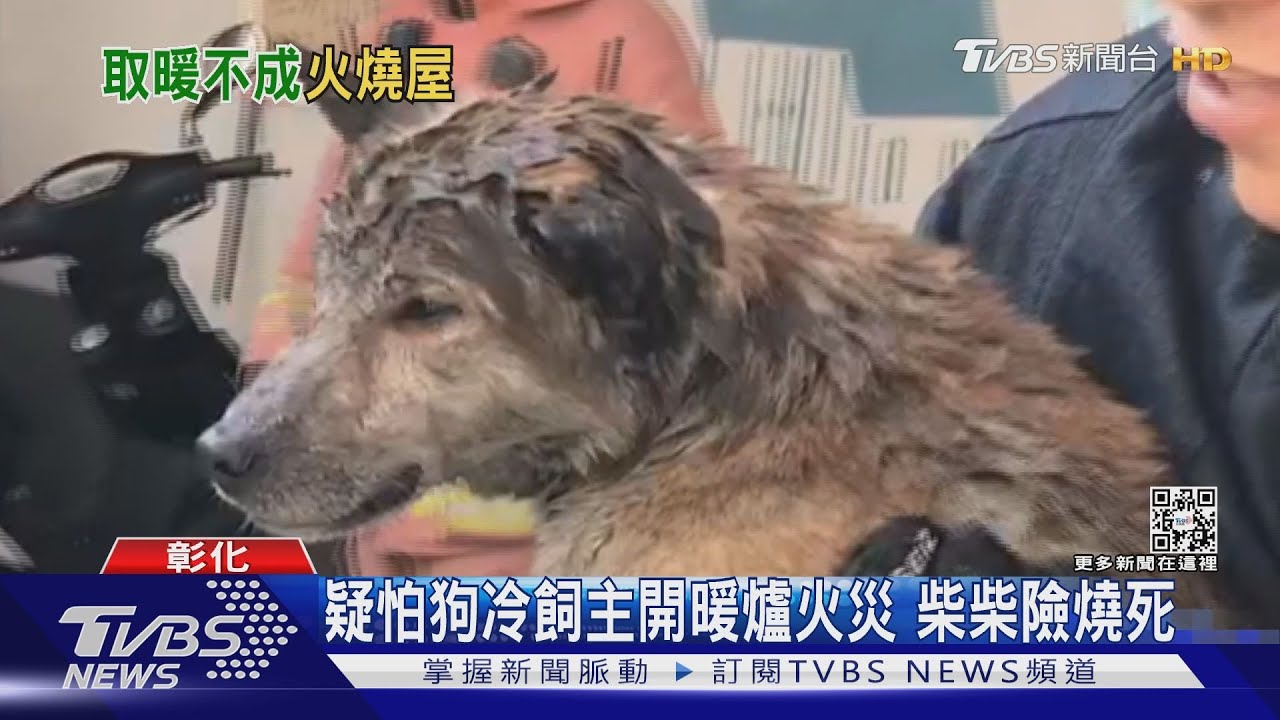 疑怕狗冷飼主開暖爐火災　柴柴險燒死