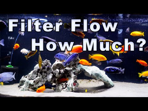 How Much Aquarium Filter Flow Do You Need? Myths Exposed!