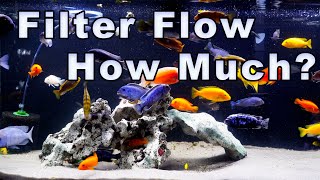 How Much Aquarium Filter Flow Do You Need? Myths Exposed!
