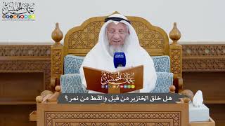 940 - هل خلق الخنزير من فيل والقط من نمر؟ - عثمان الخميس