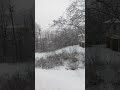 BIGGEST SNOWFLAKES I VE EVER SEEN ️