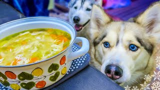 CHICKEN SOUP FOR DOGS DIY How to make Chicken Soup for Dogs | Snow Dogs Snacks 43