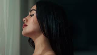 Felicito A Ese Gato Lyrics English Translation