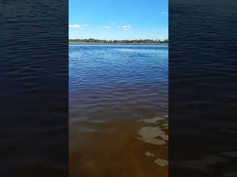 LAGUNA TOTORA SAN COSME CORRIENTES