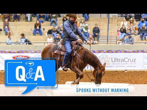 Horse Spooks Without Warning - Q&A