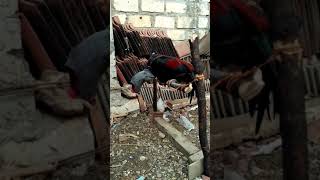 Download lagu cara melatih otot kaki ayam mp3