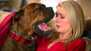 Shelby Movie Trailer