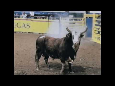 2007 ProRodeo Hall of Fame Inductee Skoal Pacific Bell