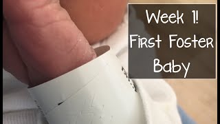 Week 1 with Baby Buster! Feb 4-11, 2020 | Foster Care