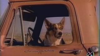 Nick Kamen - Tell Me