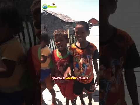 YouTube · Hobby Dan Alam Lestari — Siapa yang siap menjelajahi surga bahari Wakatobi? 🌊✨ Keindahan bawah lautnya bikin...