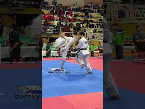 The European Full-Contact Karate Cup (EFKO) #Kyokushin #Karate 23-24.11.2024 Antwerp